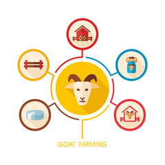 Goat farming icon and agriculture infographics