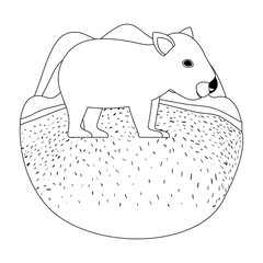 wild wombat australian creature in the camp