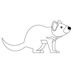 wild tasmanian devil creature