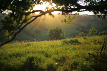 Sunset on a warm summer evening 