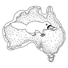 platypus over australian map wild animal