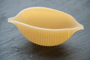 closeup of shaped seashell pasta on chalkboard background