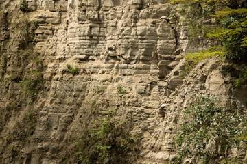 養老渓谷の地層