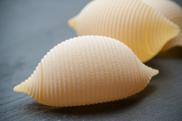 closeup of shaped seashell pasta on chalkboard background