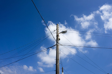 Telephone pole