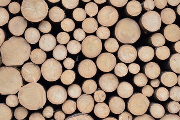 Holzstapel querformat