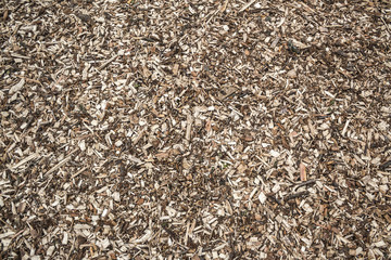 scobs on the ground background