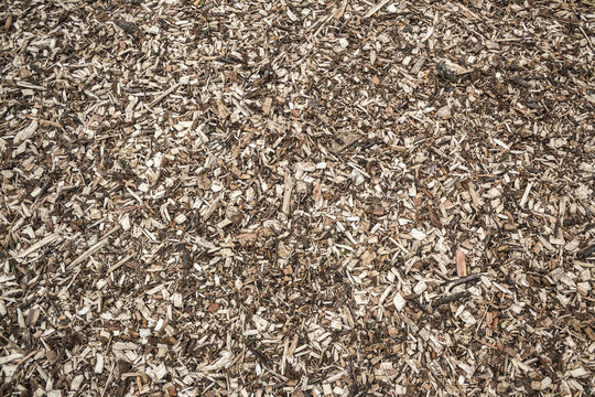 scobs on the ground background