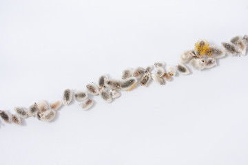 symbols and figures from a blooming willow on a white background. seals of the mouth