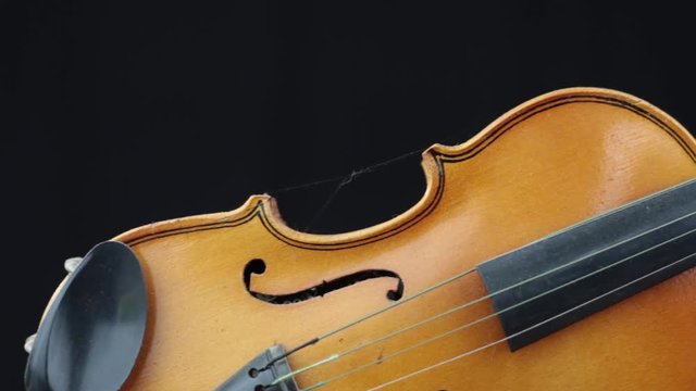 gros plan violon bois design