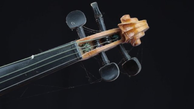 gros plan violon corde t&ecirc;te