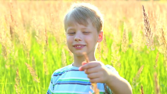 Portrait of funny little boy playing alone outside in long green and golden grass in countryside meadow on bright sunny summer evening. Video shot at golden hours.