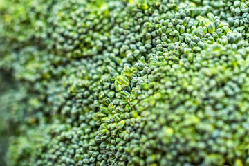 Close-up green broccoli texture