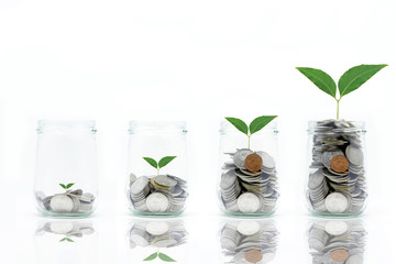 Saving money concept with coins in bottle stack and plant growing isolated on white background