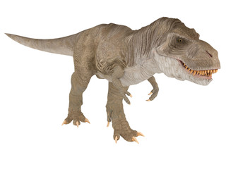 Tyrannosaurus Rex or T-rex from different point of view like top front or side isolated on a white background 3d rendering