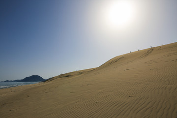 鳥取砂丘　（鳥取県鳥取市）