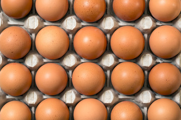 Fresh eggs - close up fresh chicken eggs in the tray