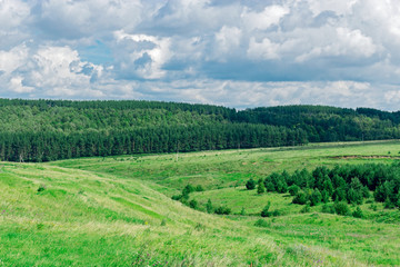 field and sky