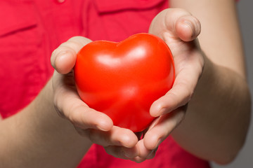 A girl holds a red heart in her hands on a gray background