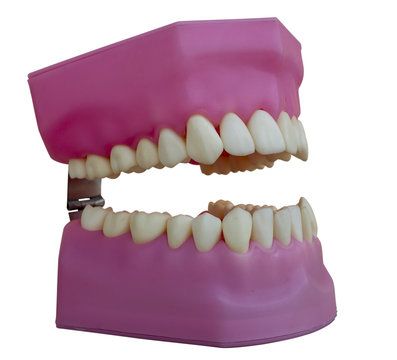 fack teeth 