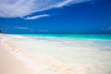 Fototapeta na wymiar tropical beach with blue water background