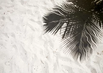 Palmen werfen Schatten auf den glatten goldenen Sand eines abgelegenen tropischen Inselstrandes in der Dominikanischen Republik © SharlottaU