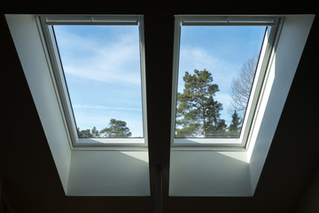 Two skylights in a attic / loft with trees and blue sky outside.