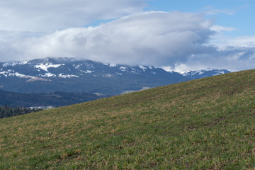 Idyllische Aussicht mit grüner Wiese und Bergen