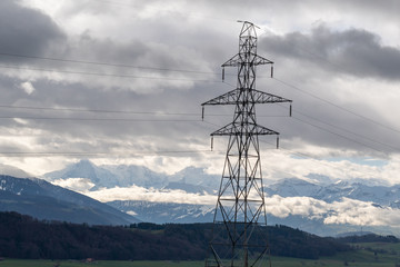Elektrische Leitung in der natur