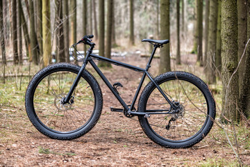 Fototapeta premium Big bicycle in the forest