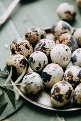 Quail eggs to the festive table, on a wooden table with decoration and fabric. With fresh herbs and salt. Easter decoration