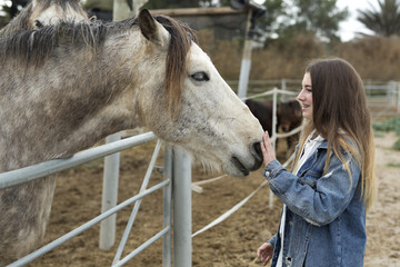 Young woman giving affection to some horses. - 199461257