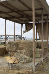 Food storage area for horses on a farm.