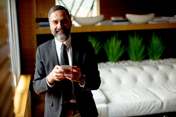 Portrait of senior businessman using cell phone in modern office