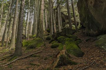Big slope in spring nice day near Pulcin village
