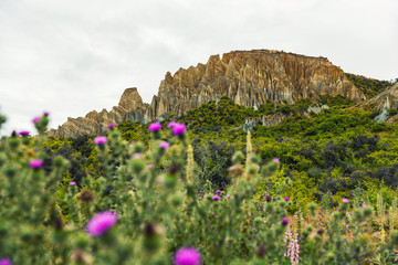 Neuseeland - Clay Cliffs