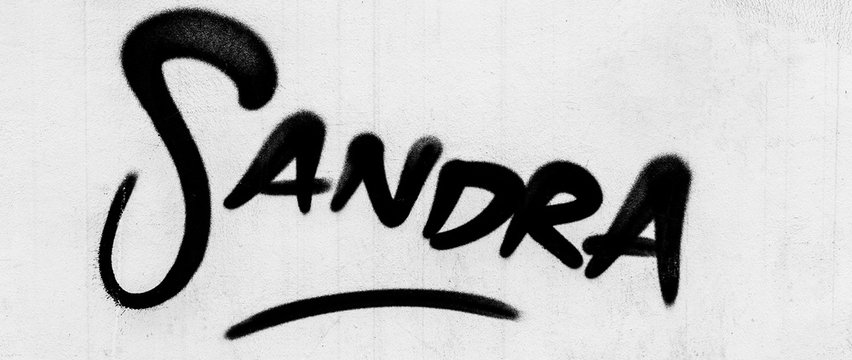 Sandra Style Writing