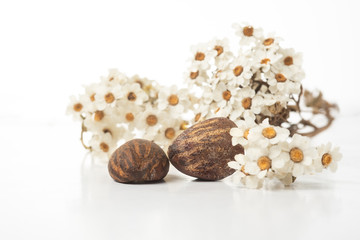 shea butter nuts and flowers