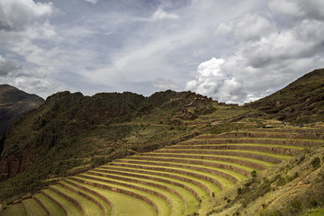 Fototapeta na wymiar Agricultural terraces in Pisac, Peru