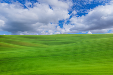 Famous moravian fields - Czech Republic