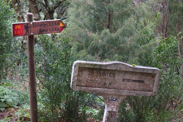 Madeira, Portugalia - drogowskaz do levady 25 Fontes © Iwona