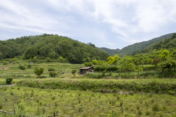 Fototapeta na wymiar 出石町の自然風景