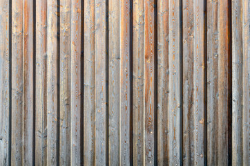 Fototapeta premium Linear texture of grey surface