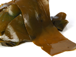 Kombu Kelp - Alga Kombu    Kombu kelp is a large brown algae seaweed. Binomial name: Laminaria Ochroleuca. It is an edible seaweed used extensively in Japanese cuisine. © efesan