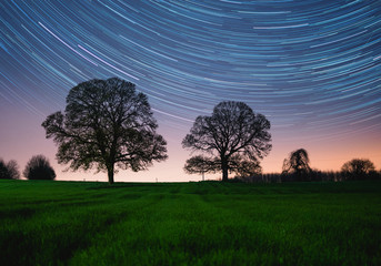 Star Trails behind the trees