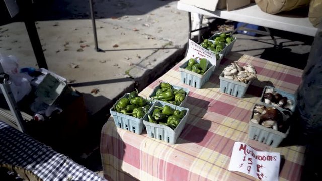 Padron Peppers for sale at an outdoor farmers market.