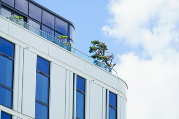 Luxury building with tree bush on balcony terrace.