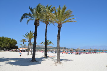 Plaże Majorki w maju przed sezonem, Port Alcudia