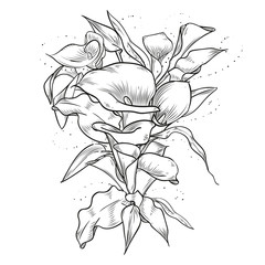 Abstract elegant vintage template with callas