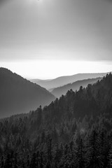 Layers